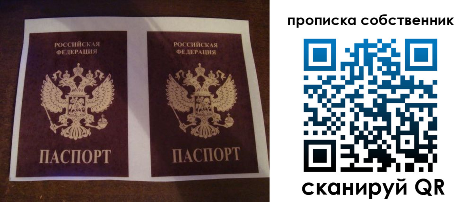прописка ребенка в Павловске