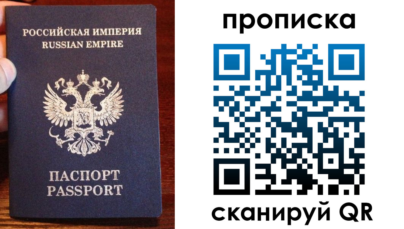 прописка поиск в Павловске